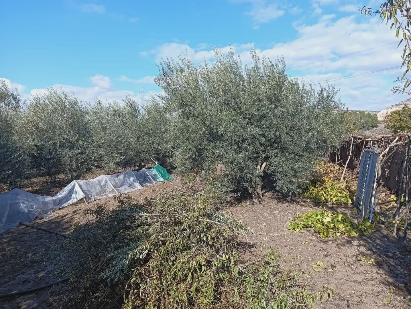 Finca/Casa Rural en Pinos Puente en venta - 136.000 € (Ref: 10047716)