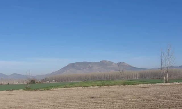 Landgrundstück zu verkaufen in Santa Fe - 37.000 € (Ref: 10047717)