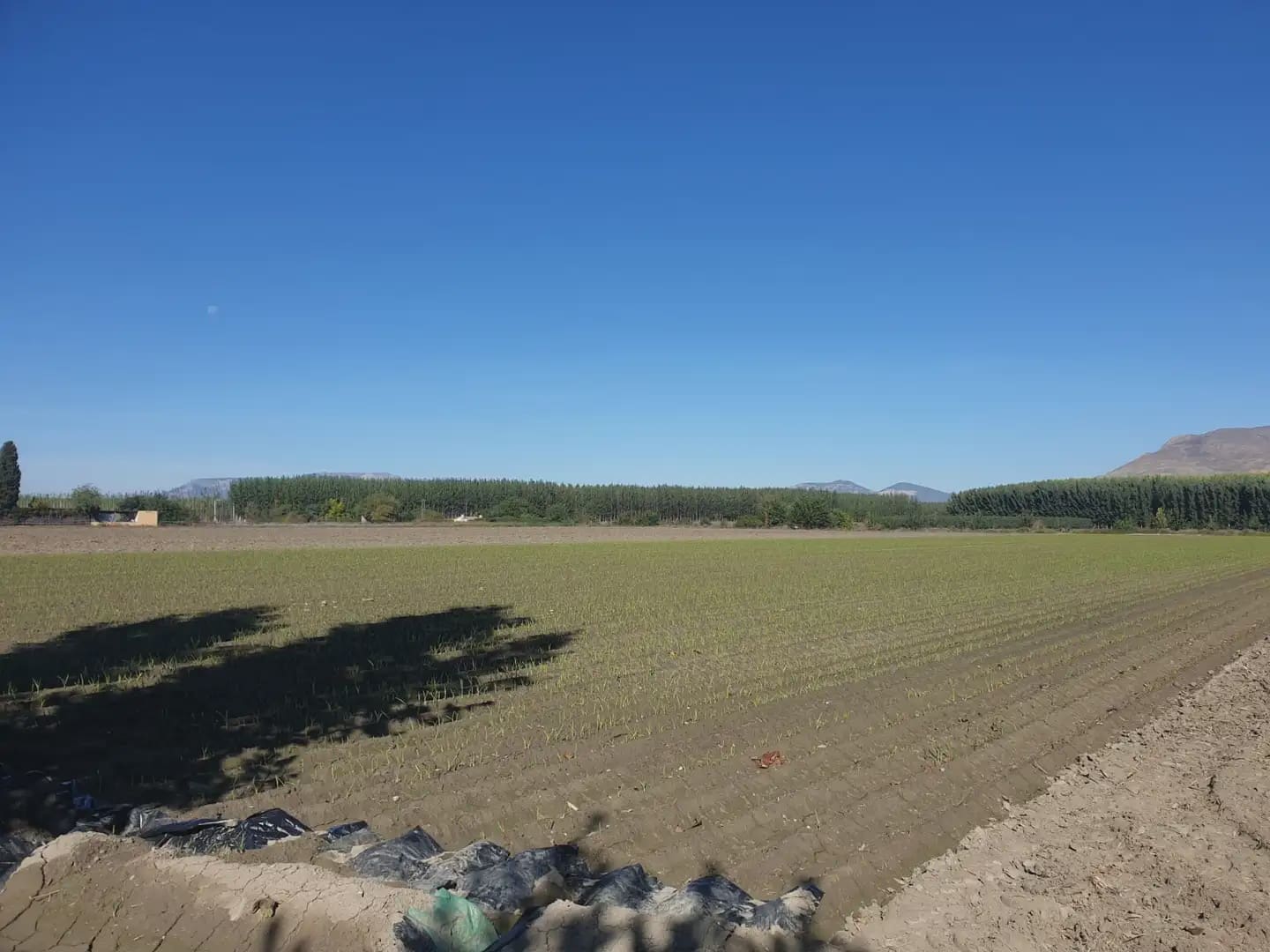 Landgrundstück zu verkaufen in Santa Fe - 37.000 € (Ref: 10047717)