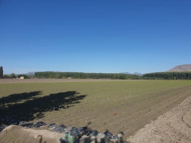 Landgrundstück zu verkaufen in Santa Fe - 37.000 € (Ref: 10047717)