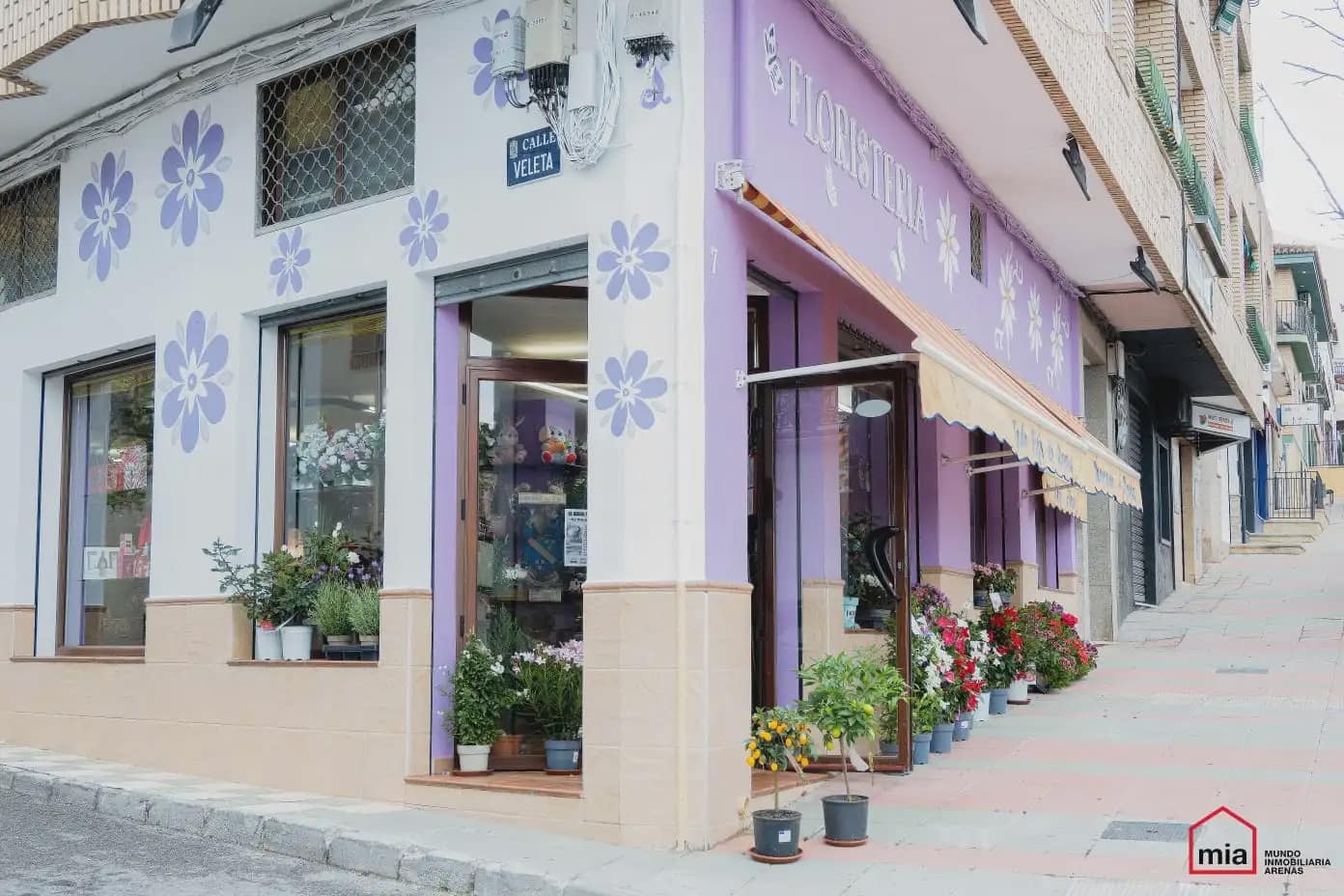 Commercial for sale in Illora - € 195,000 (Ref: 10047730)