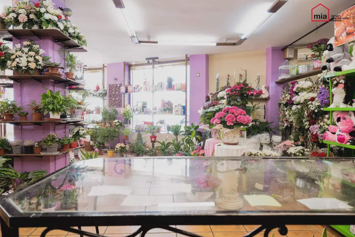 Commercial for sale in Illora - € 195,000 (Ref: 10047730)