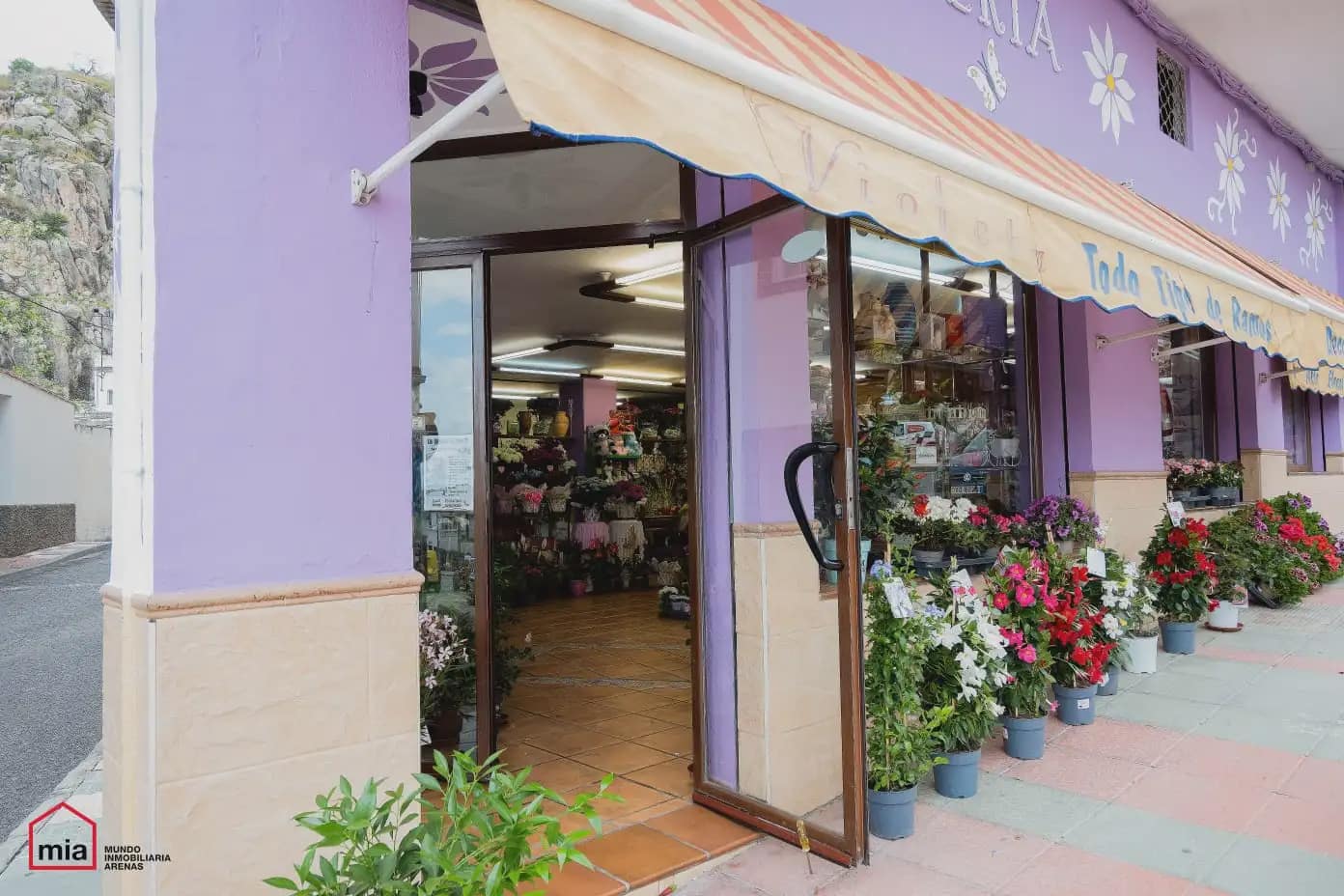Commercial for sale in Illora - € 195,000 (Ref: 10047730)