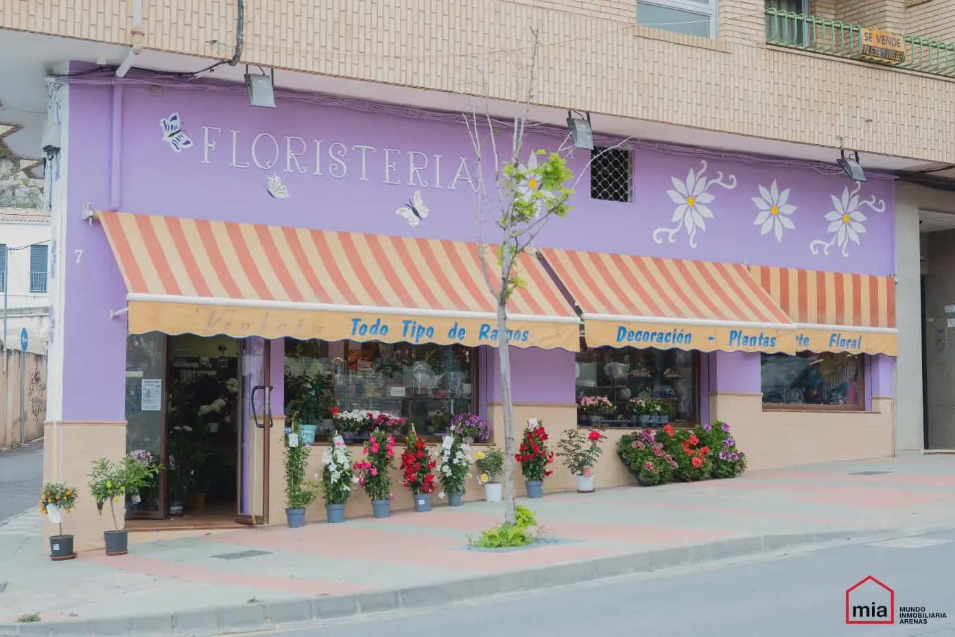 Commercial for sale in Illora - € 195,000 (Ref: 10047730)