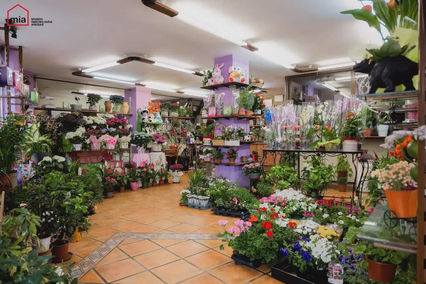 Commercial for sale in Illora - € 195,000 (Ref: 10047730)
