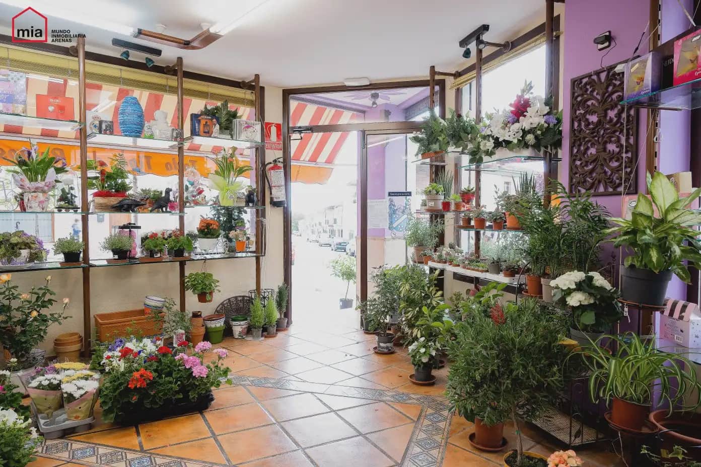 Commercial for sale in Illora - € 195,000 (Ref: 10047730)