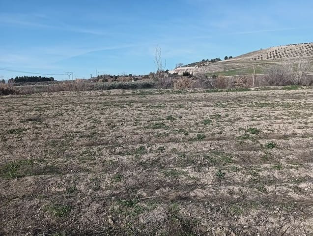 Terreno Non Edificato in vendita in Pinos Puente - 30.000 € (Rif: 10047735)