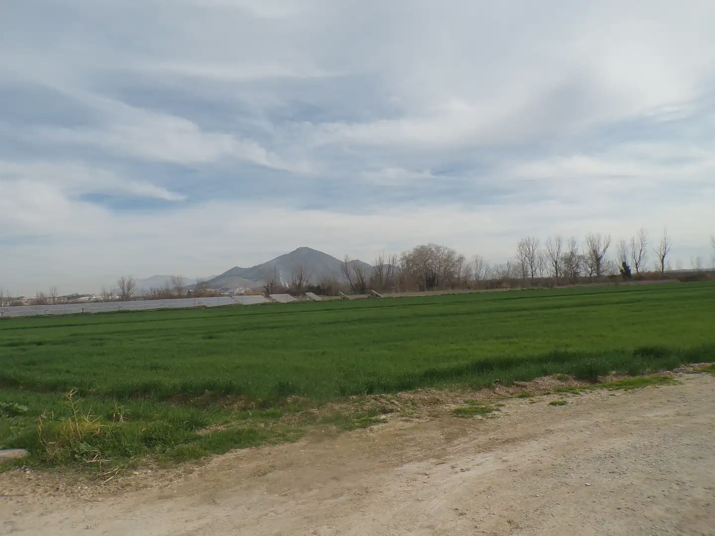 Grond te koop in Pinos Puente - € 180.000 (Ref: 10047746)