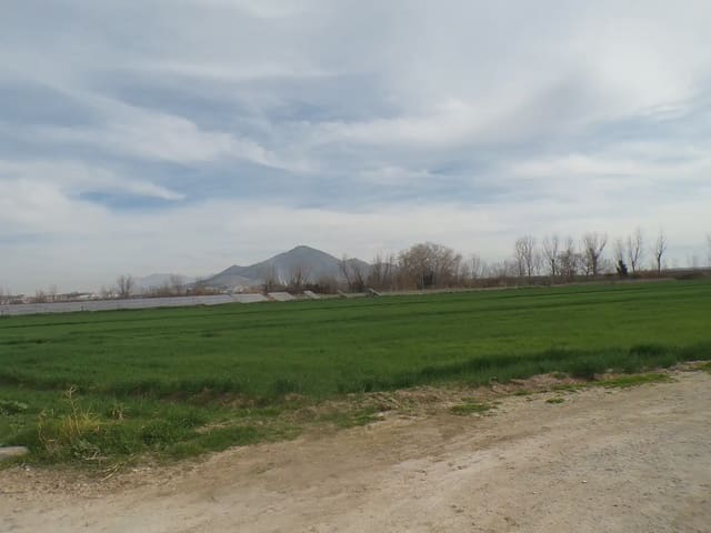 Terreno Non Edificato in vendita in Pinos Puente - 180.000 € (Rif: 10047746)