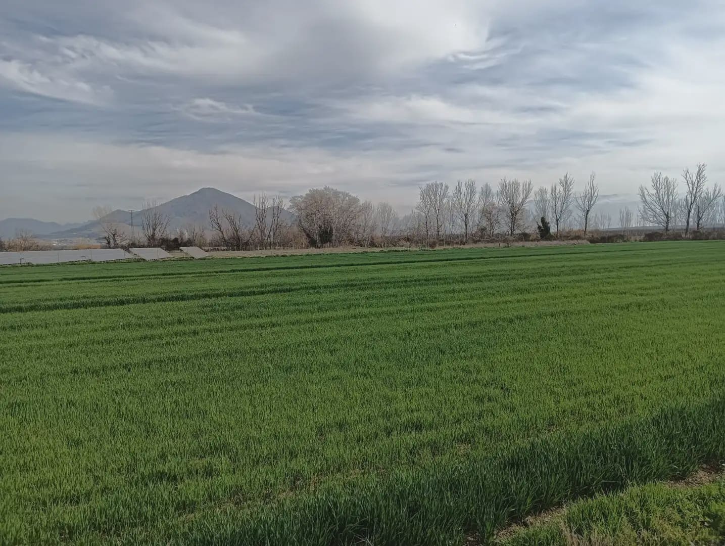 Grond te koop in Pinos Puente - € 180.000 (Ref: 10047746)