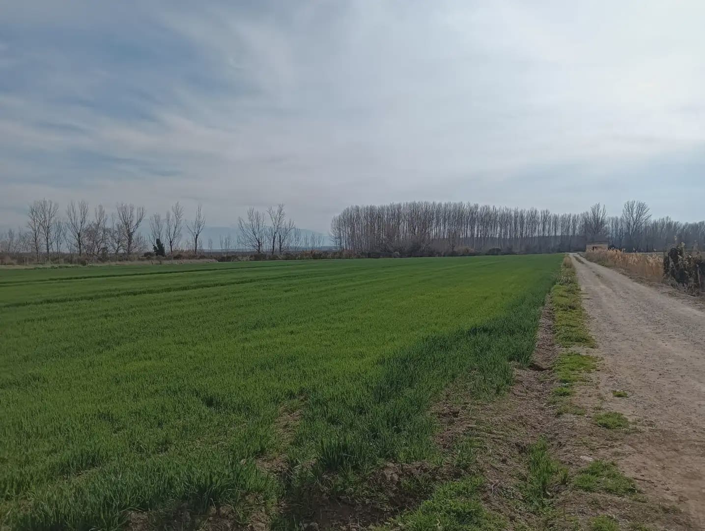 Grond te koop in Pinos Puente - € 180.000 (Ref: 10047746)