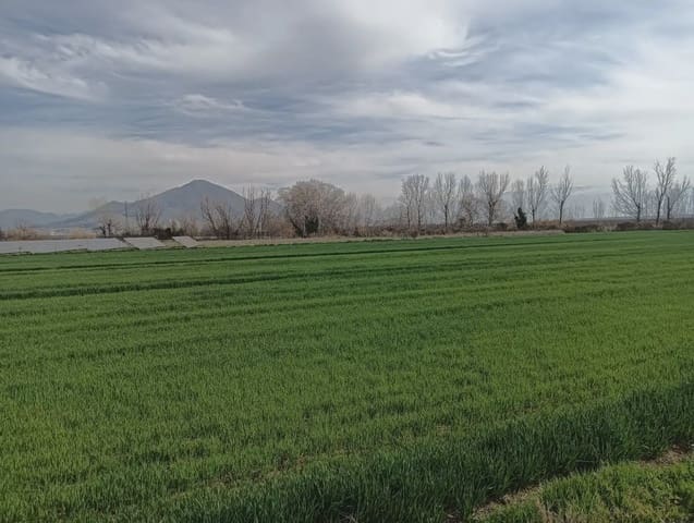 Terreno Non Edificato in vendita in Pinos Puente - 180.000 € (Rif: 10047746)