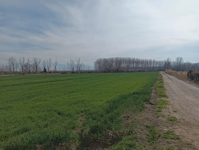 Terreno Non Edificato in vendita in Pinos Puente - 180.000 € (Rif: 10047746)