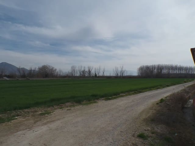 Terreno Non Edificato in vendita in Pinos Puente - 180.000 € (Rif: 10047746)