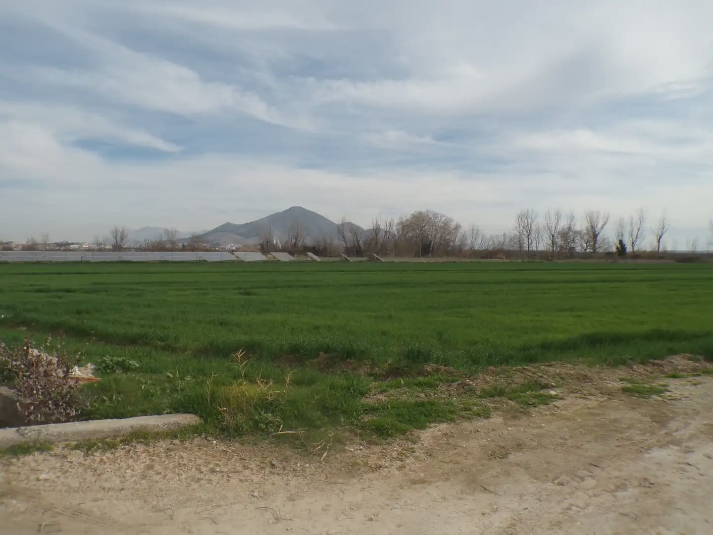 Grond te koop in Pinos Puente - € 180.000 (Ref: 10047746)
