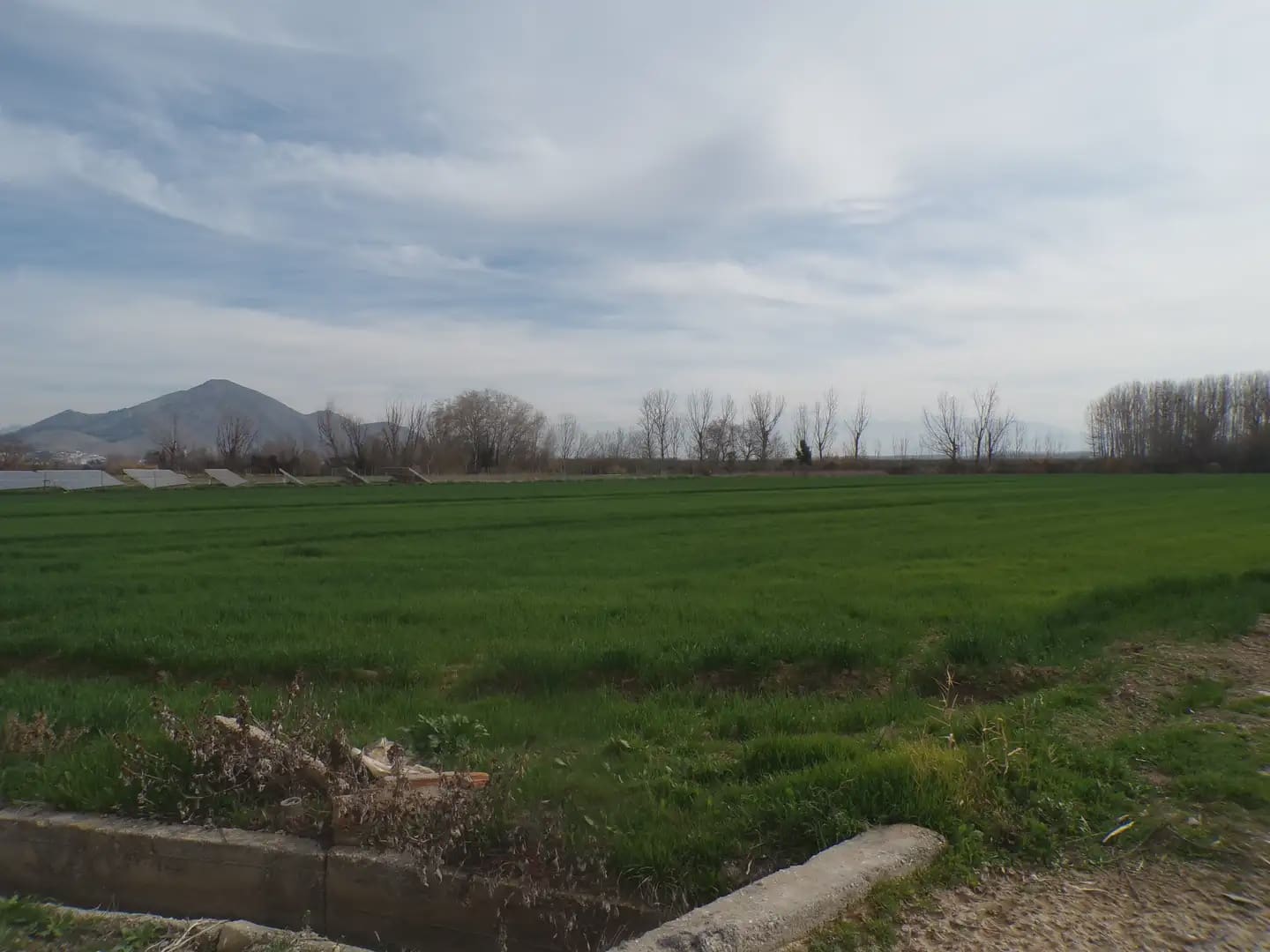 Grond te koop in Pinos Puente - € 180.000 (Ref: 10047746)