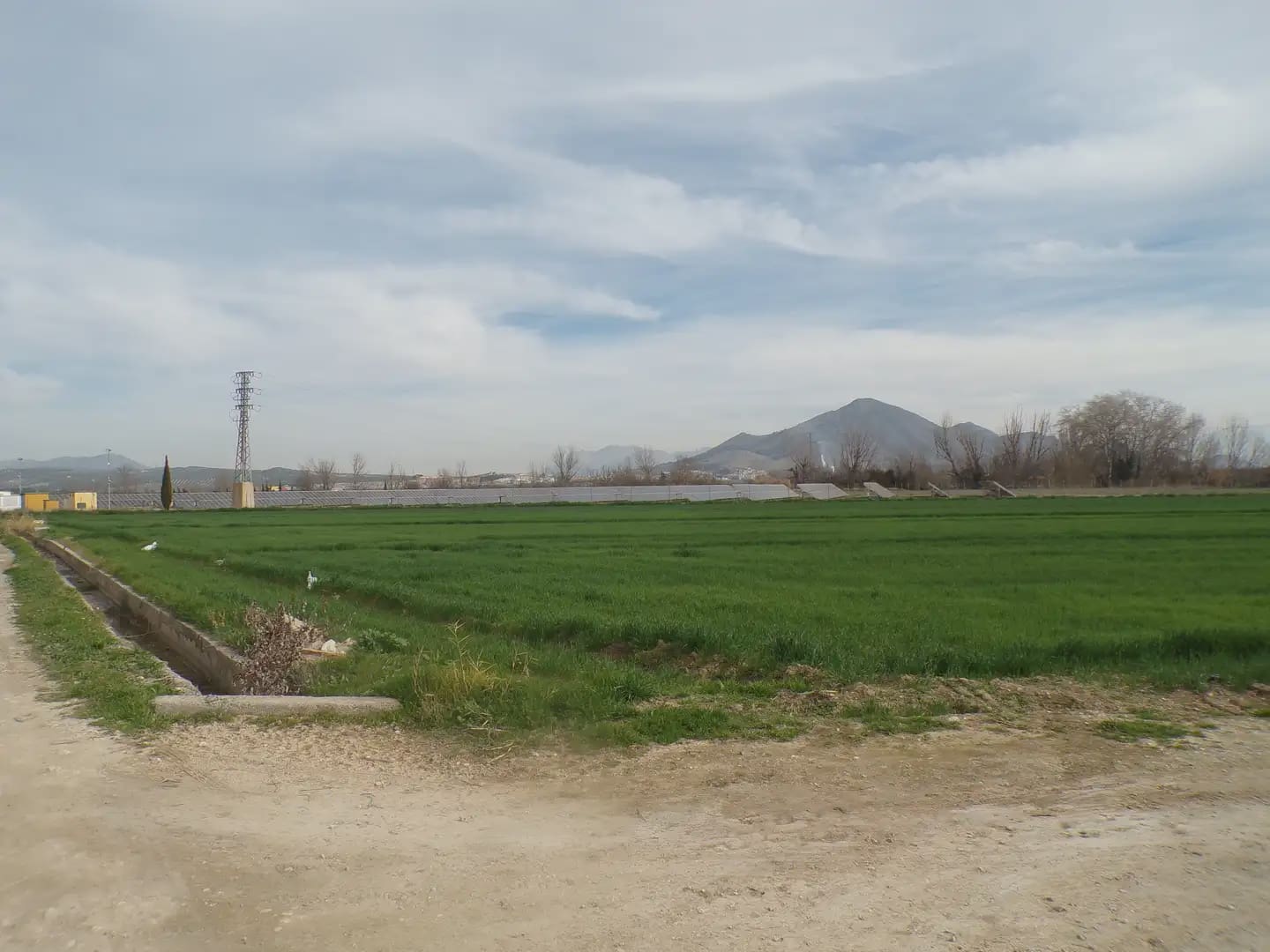Grond te koop in Pinos Puente - € 180.000 (Ref: 10047746)