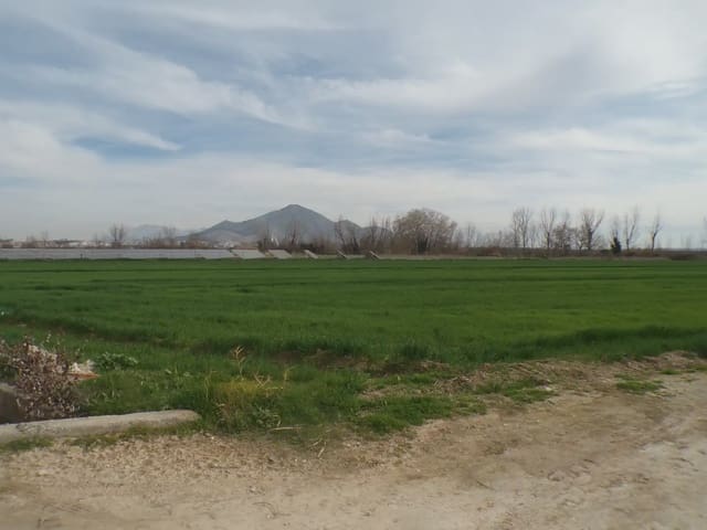 Terreno Non Edificato in vendita in Pinos Puente - 180.000 € (Rif: 10047746)