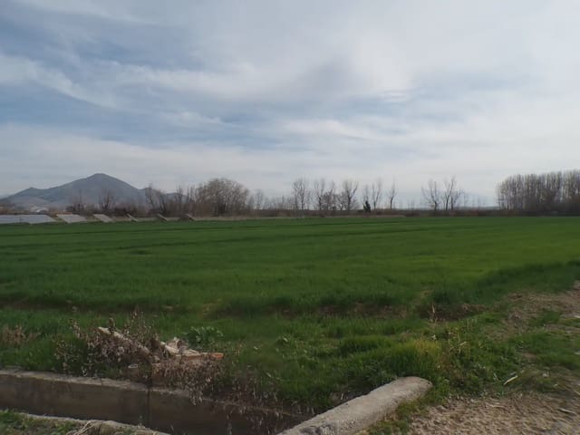 Terreno Non Edificato in vendita in Pinos Puente - 180.000 € (Rif: 10047746)