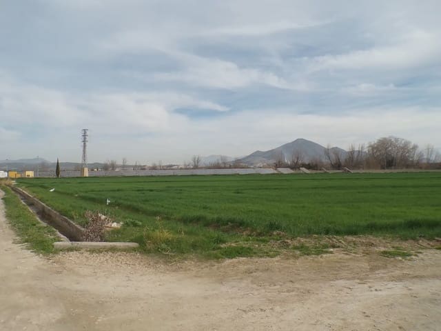 Terreno Non Edificato in vendita in Pinos Puente - 180.000 € (Rif: 10047746)