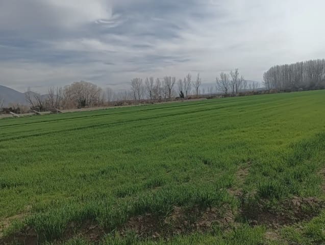 Terreno Non Edificato in vendita in Pinos Puente - 180.000 € (Rif: 10047746)