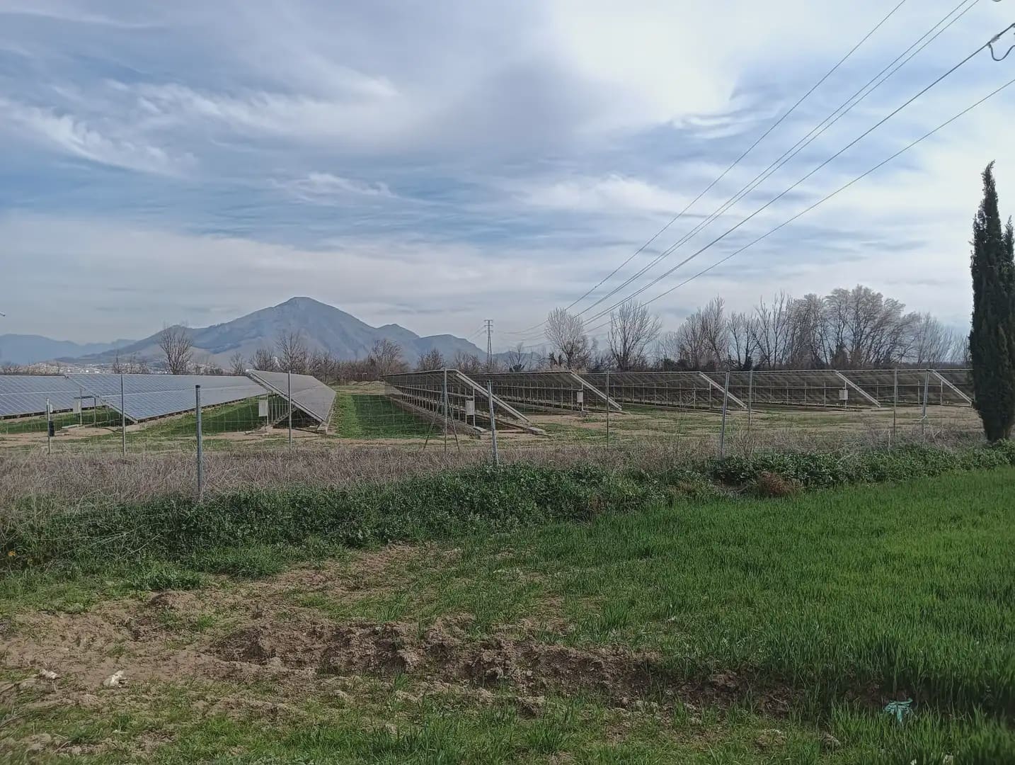 Grond te koop in Pinos Puente - € 180.000 (Ref: 10047746)