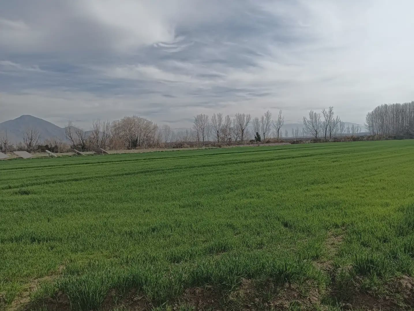 Grond te koop in Pinos Puente - € 180.000 (Ref: 10047746)