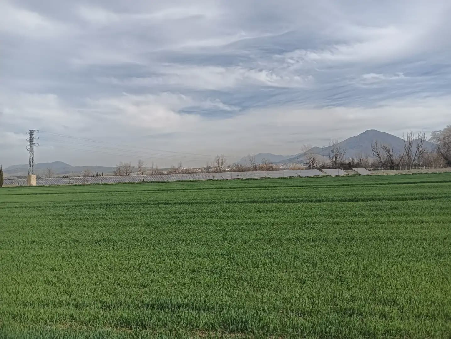 Grond te koop in Pinos Puente - € 180.000 (Ref: 10047746)