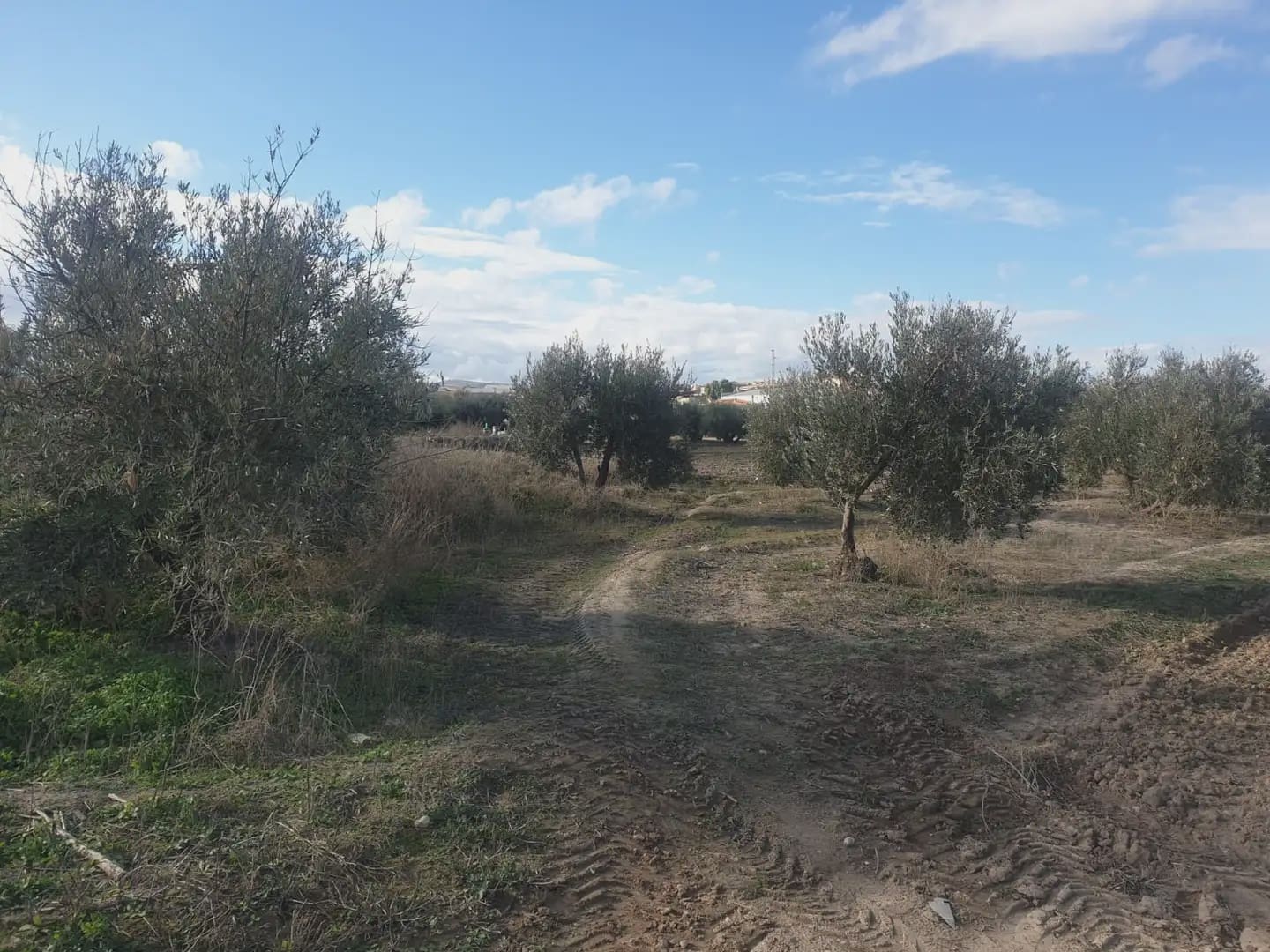 Undeveloped Land for sale in Chimeneas - € 10,800 (Ref: 10047749)