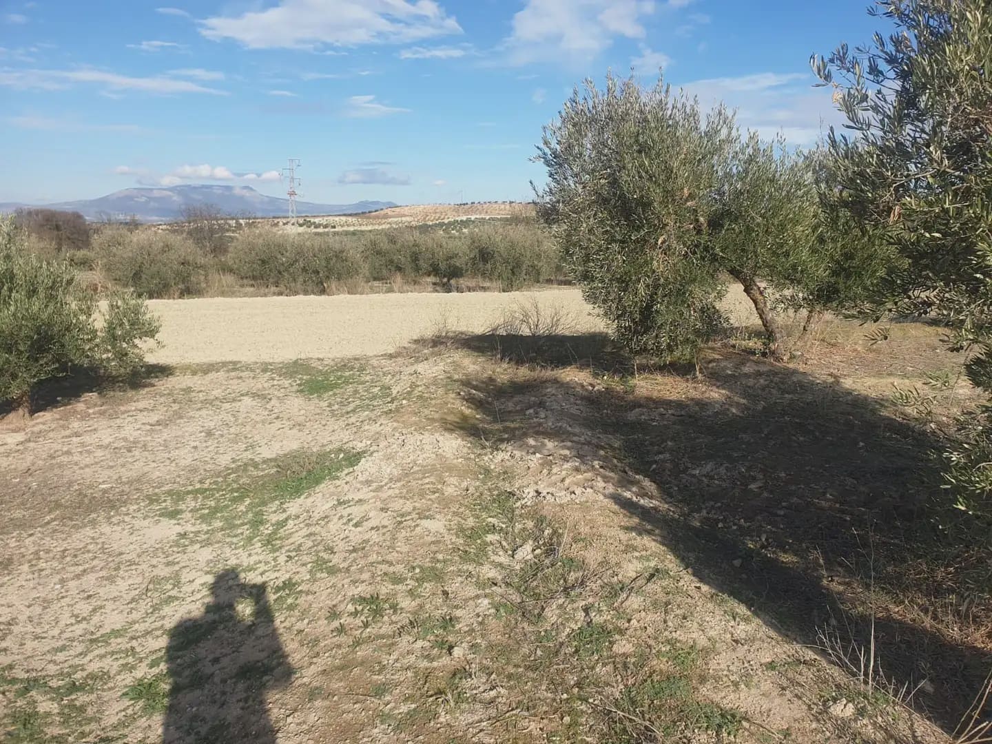 Undeveloped Land for sale in Chimeneas - € 10,800 (Ref: 10047749)