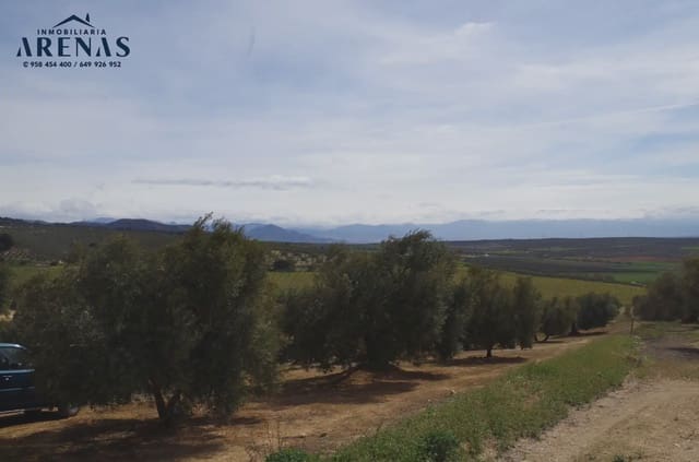 Mark till salu i Alomartes, Illora - 65 000 € (Ref: 10047751)