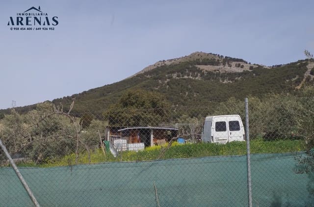 Mark till salu i Alomartes, Illora - 65 000 € (Ref: 10047751)
