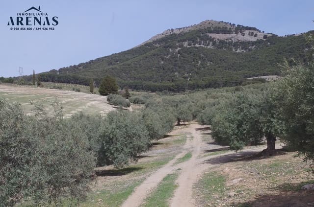 Mark till salu i Alomartes, Illora - 65 000 € (Ref: 10047751)