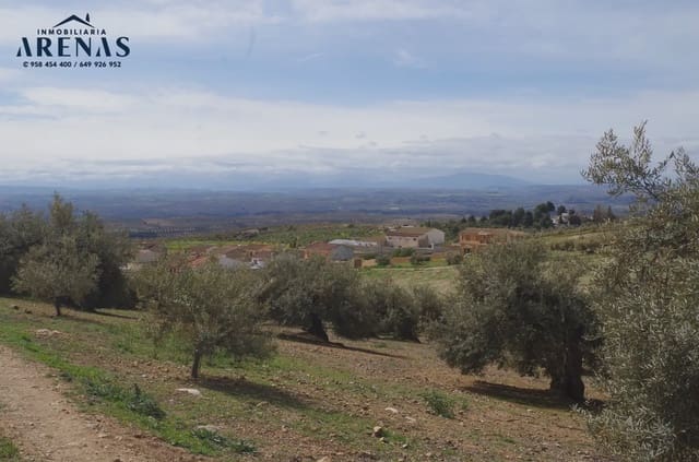 Mark till salu i Alomartes, Illora - 65 000 € (Ref: 10047751)