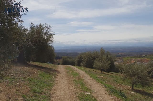 Mark till salu i Alomartes, Illora - 65 000 € (Ref: 10047751)
