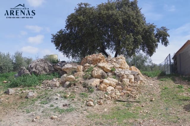 Mark till salu i Alomartes, Illora - 65 000 € (Ref: 10047751)