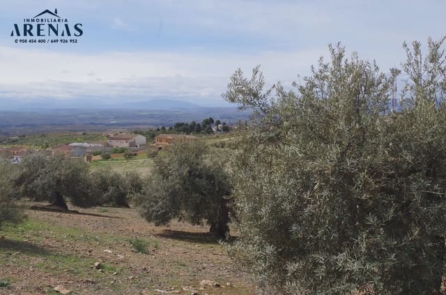 Mark till salu i Alomartes, Illora - 65 000 € (Ref: 10047751)