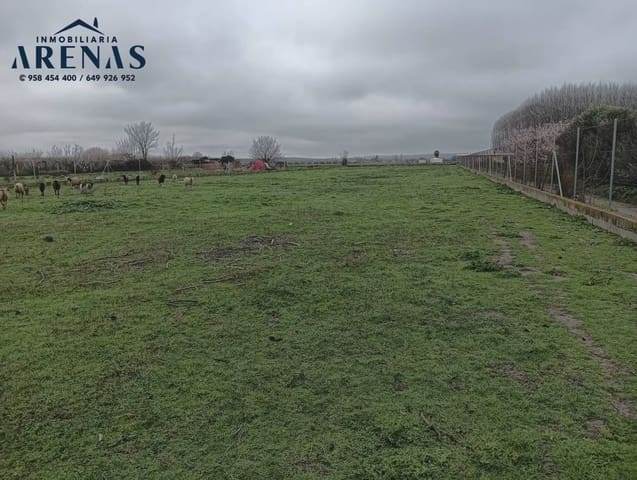 Landgrundstück zu verkaufen in Fuente Vaqueros - 115.000 € (Ref: 10047767)