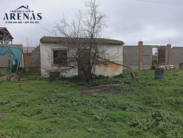 Landgrundstück zu verkaufen in Fuente Vaqueros - 115.000 € (Ref: 10047767)