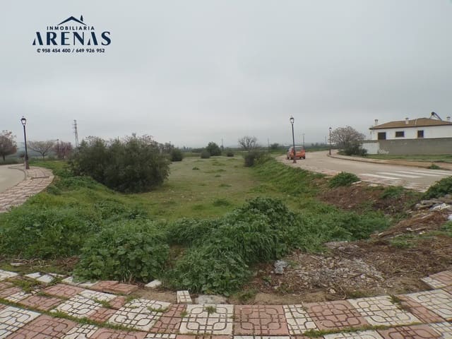Solar/Parcela en Illora en venta - 36.000 € (Ref: 10047773)