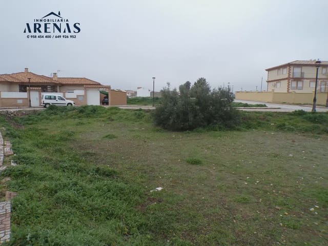 Solar/Parcela en Illora en venta - 36.000 € (Ref: 10047773)