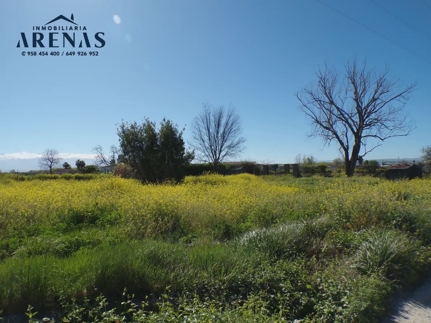Landgrundstück zu verkaufen in Fuente Vaqueros - 69.800 € (Ref: 10047777)