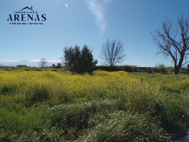 Landgrundstück zu verkaufen in Fuente Vaqueros - 69.800 € (Ref: 10047777)