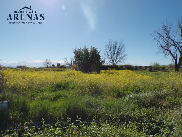 Landgrundstück zu verkaufen in Fuente Vaqueros - 69.800 € (Ref: 10047777)
