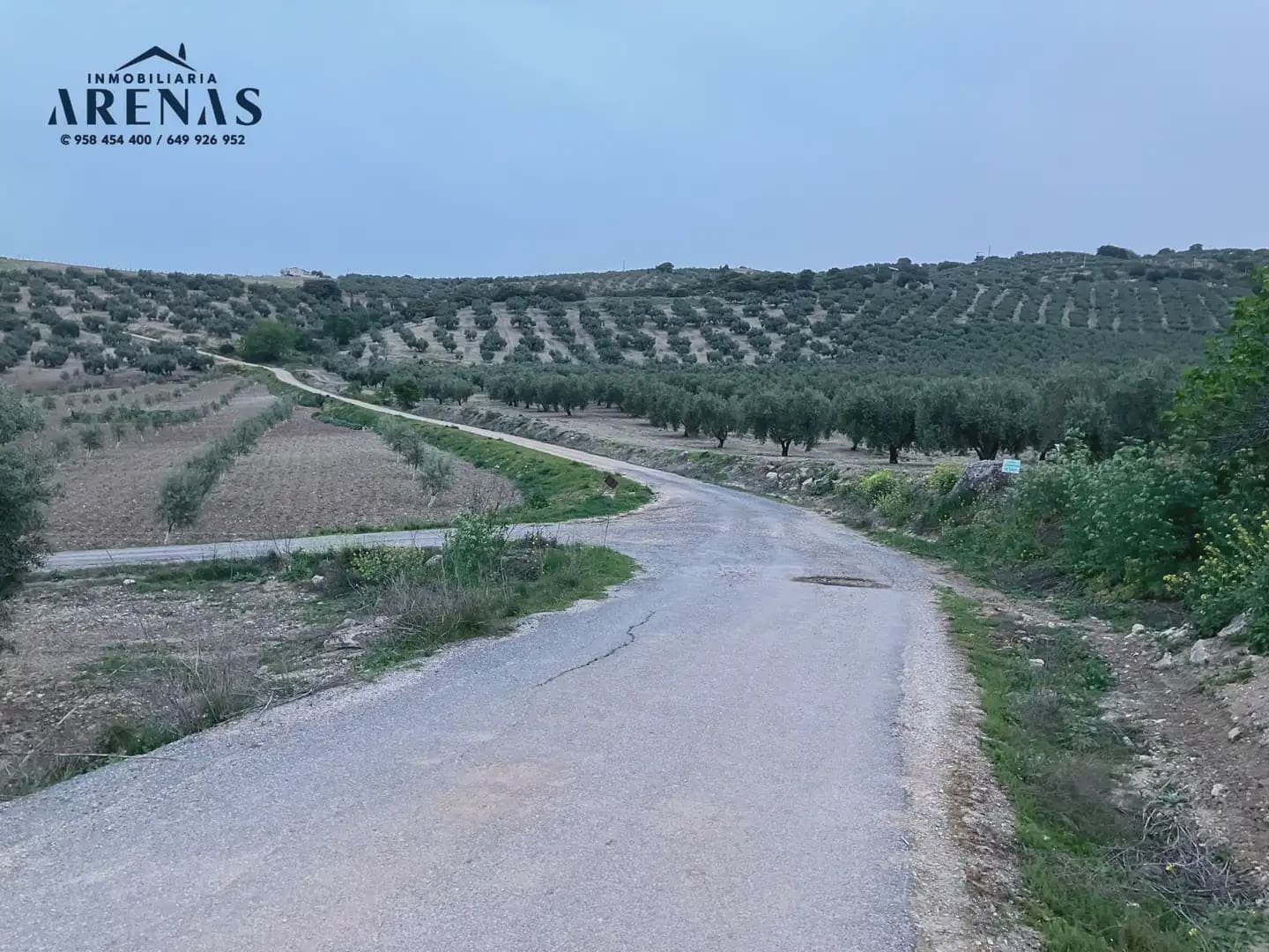 Ubebygd land til salgs i Illora - € 15 000 (Ref: 10047779)