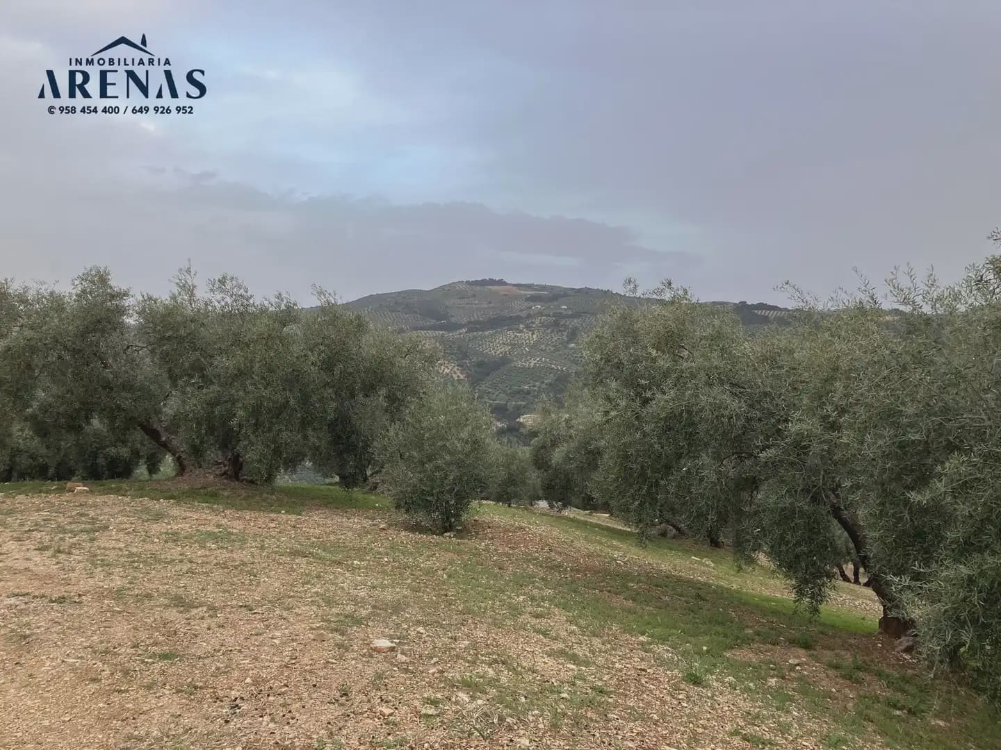 Ubebygd land til salgs i Illora - € 15 000 (Ref: 10047779)