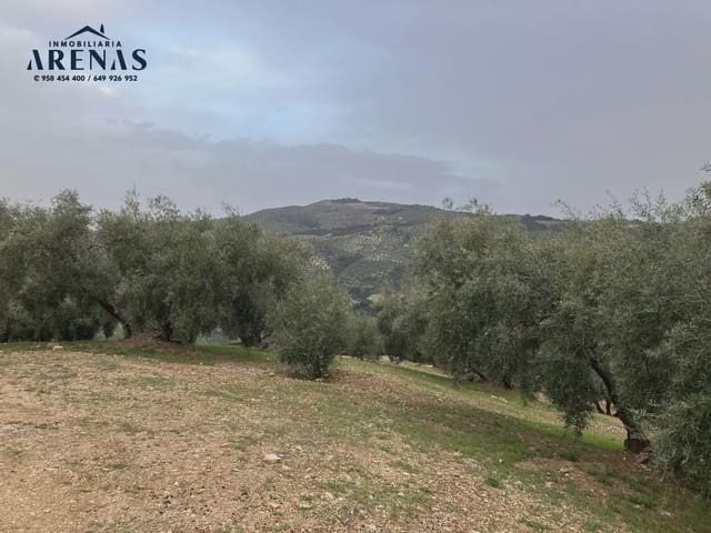Ubebygd land til salgs i Illora - € 15 000 (Ref: 10047779)