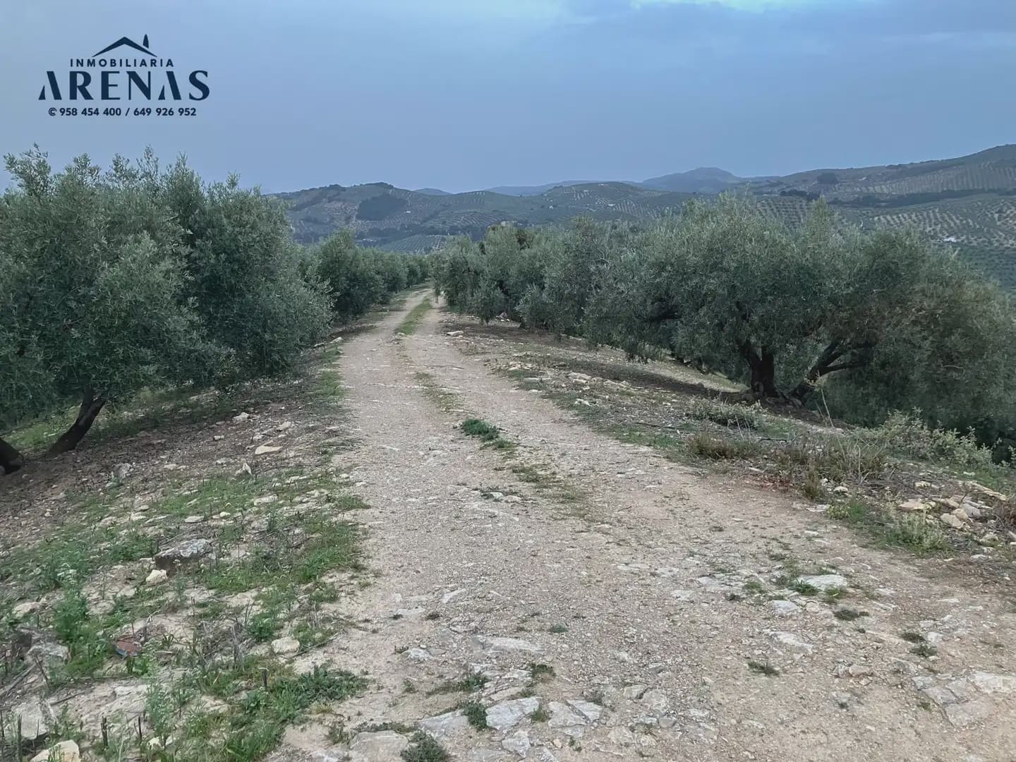 Ubebygd land til salgs i Illora - € 15 000 (Ref: 10047779)