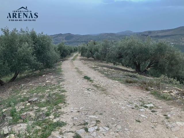 Ubebygd land til salgs i Illora - € 15 000 (Ref: 10047779)