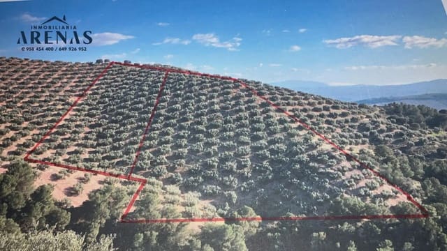 Ubebygd land til salgs i Illora - € 15 000 (Ref: 10047779)